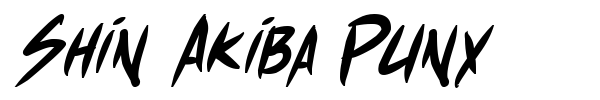 Shin Akiba Punx font