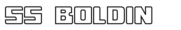 SS Boldin font