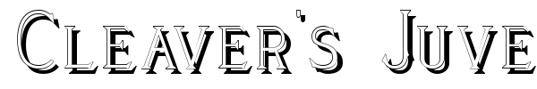 Cleaver's Juvenia font
