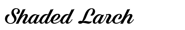 Shaded Larch font