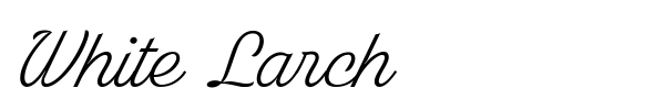 White Larch font preview