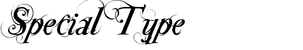 Special Type font
