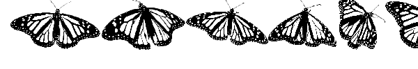 WL Royal Flutter Dingbats font