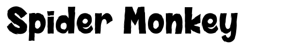 Spider Monkey font