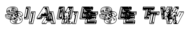 Siamese Twins font
