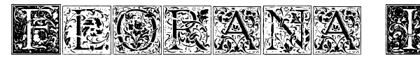 Florana Initials font