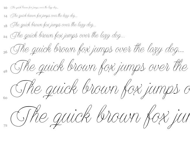 Encina Script font waterfall