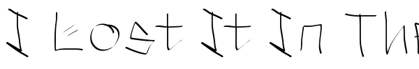 I Lost It In The Street font