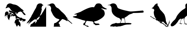 Birds TFB font