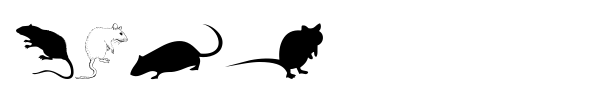 Rats font