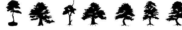 Subikto Tree font preview